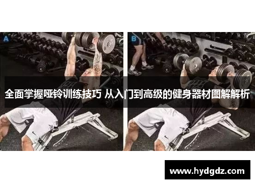 全面掌握哑铃训练技巧 从入门到高级的健身器材图解解析